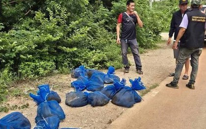 Bí mật "động trời" bên trong hàng chục chiếc túi lạ treo trong rừng