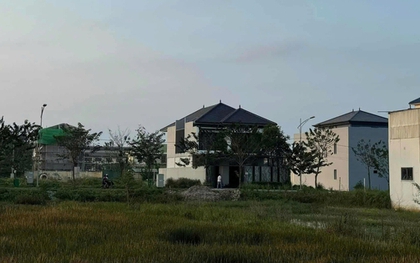 Mua đất quê 1.200m2 từ thời giá chỉ 500.000 đồng, người phụ nữ vui mừng: Vừa rao bán 6,5 tỷ đồng đã có người mua ngay