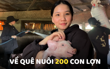 Gen Z rời TP.HCM về quê nuôi 200 con lợn
