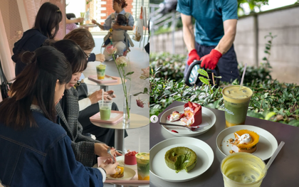 Nông dân trồng trà ở Nhật Bản kiệt sức trước xu hướng "sơ hở là matcha" của giới trẻ