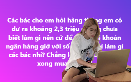 Chẳng biết làm gì với 2-3 triệu dư ra hàng tháng: Dân mạng hiến kế giúp tiền đẻ ra tiền!
