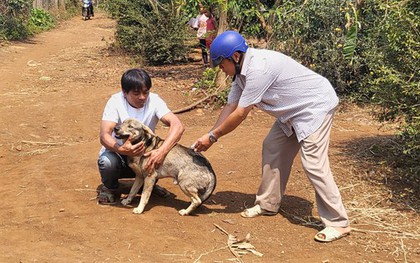 Đắk Lắk: Tiêm phòng bệnh dại sau khi bị chó cắn, vẫn không qua khỏi