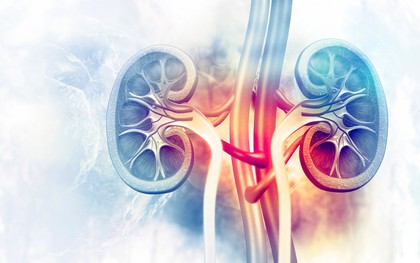 Thận suy hỏng nhanh chóng nếu uống nhiều 2 loại đồ uống này: Người Việt tiêu thụ hàng tỷ lít/năm