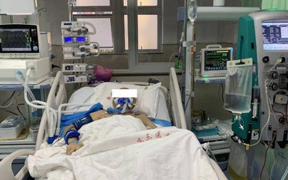 Gia đình 3 người nguy kịch sau khi ăn loại rau này: Bác sĩ nói 1 sai lầm khiến rau nhiễm độc tố cực mạnh