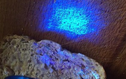Bác sĩ vạch trần 8 "ổ vi khuẩn" gây bệnh ngay trong nhà, khuyên mọi người tiễn chúng đi ngay!