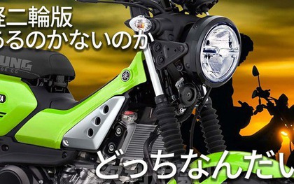 Yamaha PG-1 được trang bị động cơ R15! Truyền thông Nhật Bản dự đoán 'PG-155' sẽ sớm ra mắt