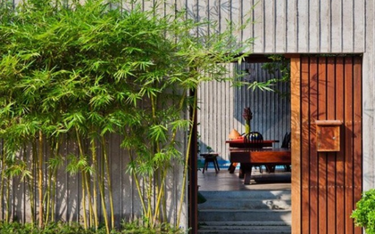 Ông bà dặn KHÔNG trồng cây này trước cửa, người khôn nghe lời, người dại chống đối!