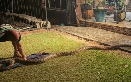 Nghe tiếng động lạ, đi kiểm tra, người đàn ông chứng kiến cảnh tượng nổi da gà