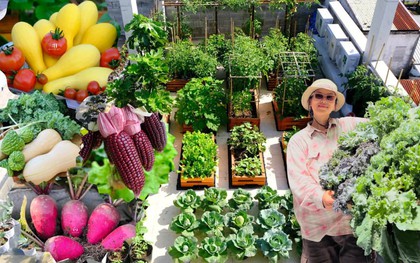 Mê mẩn khu vườn sân thượng đẹp 'như vẽ bằng AI' của mẹ đảm Đà Nẵng