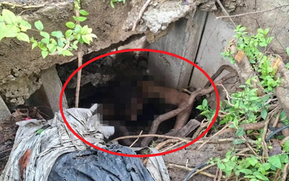 Người đàn ông khỏa thân nhảy xuống rồi mắc kẹt dưới cống, nhân viên cứu hộ đến giúp còn bị cắn vào tay