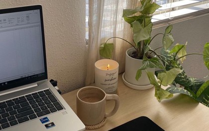 6 loại cây nhỏ xinh nên đặt ở bàn làm việc: Vừa đẹp vừa như “thuốc an thần”, giảm căng thẳng