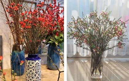 Loài hoa đánh thức tài lộc, cắm trên bàn thờ "đúng lễ nghi, chuẩn phong thủy", bề trên hài lòng!