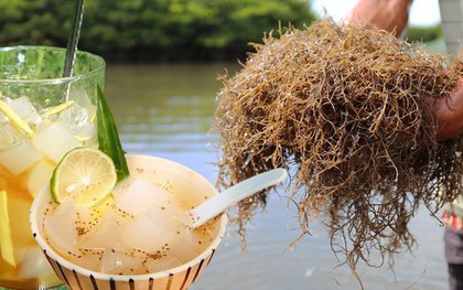 Món đặc sản mát lành ngày hè mang cái tên độc lạ ở Quảng Ngãi, nhiều người xem "Gia đình HAHA" mới biết