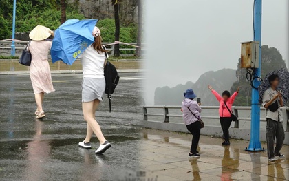 Nhiều du khách ở Quảng Ninh bất chấp gió mạnh, bung ô ra đường ven biển check-in thời điểm bão đổ bộ đất liền