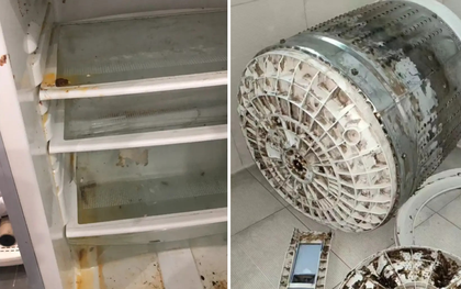 Sự thật mất lòng: 5 món đồ quen thuộc tưởng sạch nhưng KHÔNG, bẩn nhất là số 4 ai cũng dùng