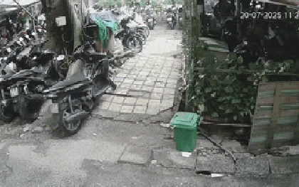 Khoảnh khắc cây cao 20m bật rễ giữa phố Sài Gòn: 19 giây "lạnh gáy"