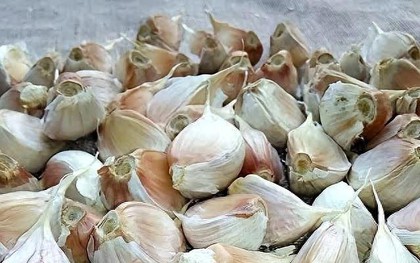 6 loại tỏi ngay cả người bán cũng chẳng dám ăn: Nhiều người vẫn vô tư mua về nấu cho cả nhà!