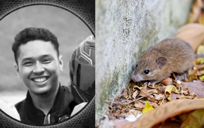 Chàng trai 23 tuổi tử vong sau 4 ngày nhiễm "bệnh nước tiểu chuột"