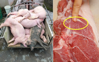 Dịch tả lợn châu Phi đang diễn biến phức tạp, đi chợ thấy thịt có 4 dấu hiệu này dù "rẻ bèo" cũng không mua