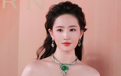 Trò lừa gạt của Lưu Diệc Phi, Triệu Lệ Dĩnh
