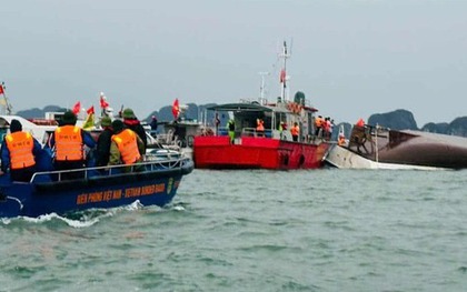 Phó Thủ tướng Thường trực chỉ đạo xử lý lỗ hổng từ vụ lật tàu Vịnh Xanh 58
