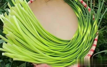 5 loại rau quả mùa hè nên tránh, ngay cả người bán cũng lắc đầu từ chối