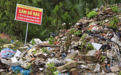 Rác thải "tấn công" rừng thông Đà Lạt