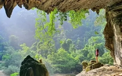 Bàn phương án hợp tác di sản Phong Nha - Kẻ Bàng và Hin Nam Nô