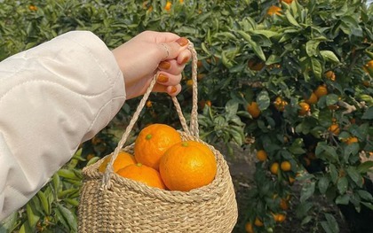 5 cách tiết kiệm tiền của mẹ, con cái cho là lỗi thời nhưng cả đời không khá lên nổi vì "cãi lời"