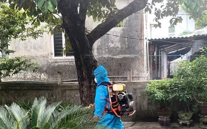 Huế: Ghi nhận 12 ca mắc liên cầu lợn trong gần hai tuần, một người tử vong