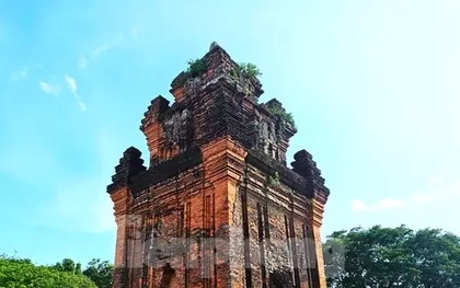 Du khách đổ về tháp Nhạn chiêm ngưỡng kiệt tác của người Champa cổ