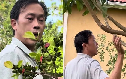 Hoài Linh thăm vườn biệt thự vài trăm m2 tại Mỹ, em trai nói: "Khác gì ở Việt Nam đâu"