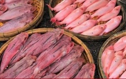 Người dân Đà Nẵng nghi ngờ cá bị nhuộm phẩm, tiểu thương nói rửa bằng nước ngọt