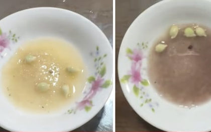 Vắt chanh vào bột canh thấy chuyển màu tím, có phải bột canh bị làm giả?