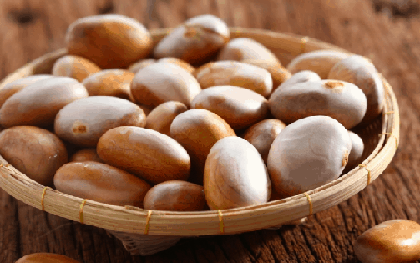 Loại hạt "bổ như thuốc"người Việt thẳng tay vứt bỏ, ở Nhật bán lại với giá đắt đỏ