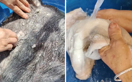 Món ăn "gây sốc" của Việt Nam: Xếp vào hàng kinh dị nhưng người địa phương coi là ngon nhất