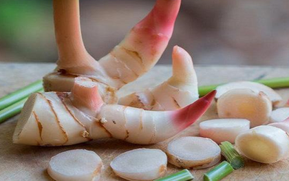 Loại củ "hiếm có khó tìm" trên thế giới, Việt Nam trồng bạt ngàn