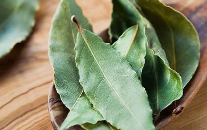 Loại lá ở Việt Nam nhiều người cho nhau miễn phí, ra nước ngoài giá 2 triệu đồng/kg
