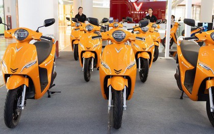 VinFast, Selex, Dat Bike, Yadea, Pega... đang làm gì với xe máy điện trong cuộc chạy đua logistics xanh?