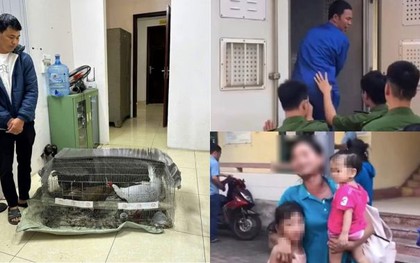 Vụ án "gà lôi trắng": Bị cáo Thái Khắc Thành được trở về nhà, cấm đi khỏi nơi trú