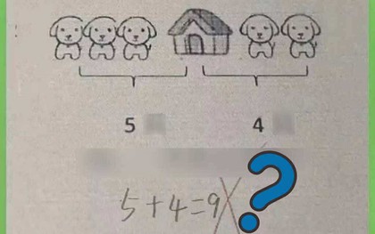 Bài toán tiểu học "5 + 4 = 9" bị chấm sai, ngay cả phụ huynh cũng không giải được: Đáp án đúng mới ngã ngửa!