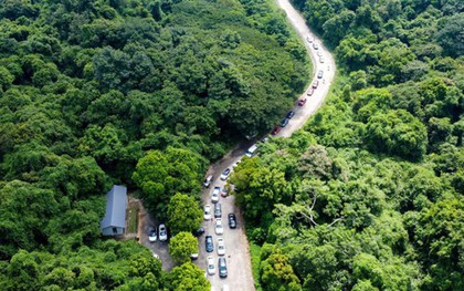 Khách du lịch mất tích nhiều ngày trong rừng Cúc Phương