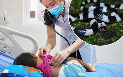 Thấy con rắn sọc đen trắng bò ngang qua người, gia đình tức tốc đưa bé gái 21 tháng đi cấp cứu