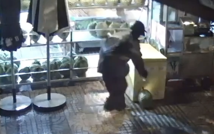 Làm rõ vụ 2 người trộm 10 trái sầu riêng ở TP HCM