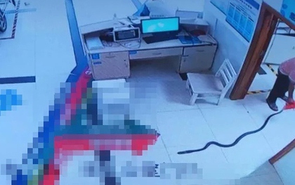 Cụ ông bị rắn hổ mang dài 2,2 mét cắn, gia đình có màn xử lý bất ngờ