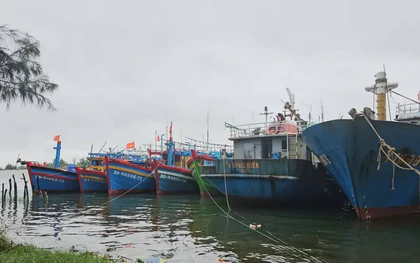 Huế yêu cầu kêu gọi tàu thuyền vào bờ tránh bão số 5 trước 19h tối nay