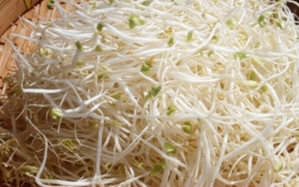 Nên ăn giá đỗ sống hay nấu chín?