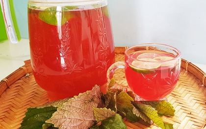 Những người "đại kỵ" với nước lá tía tô, biết mà tránh kẻo rước hoạ