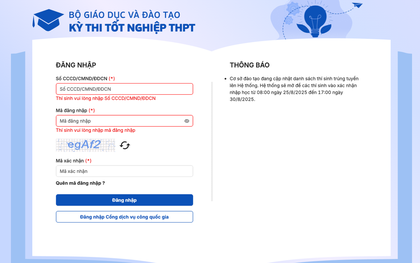 Hướng dẫn tra cứu trúng tuyển và xác nhận nhập học 2025 nhanh, chính xác nhất