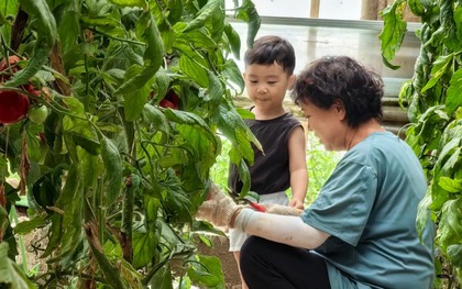 Ông bà có 3 điểm này con cháu vừa sinh ra đã đứng sẵn ở "vạch đích"